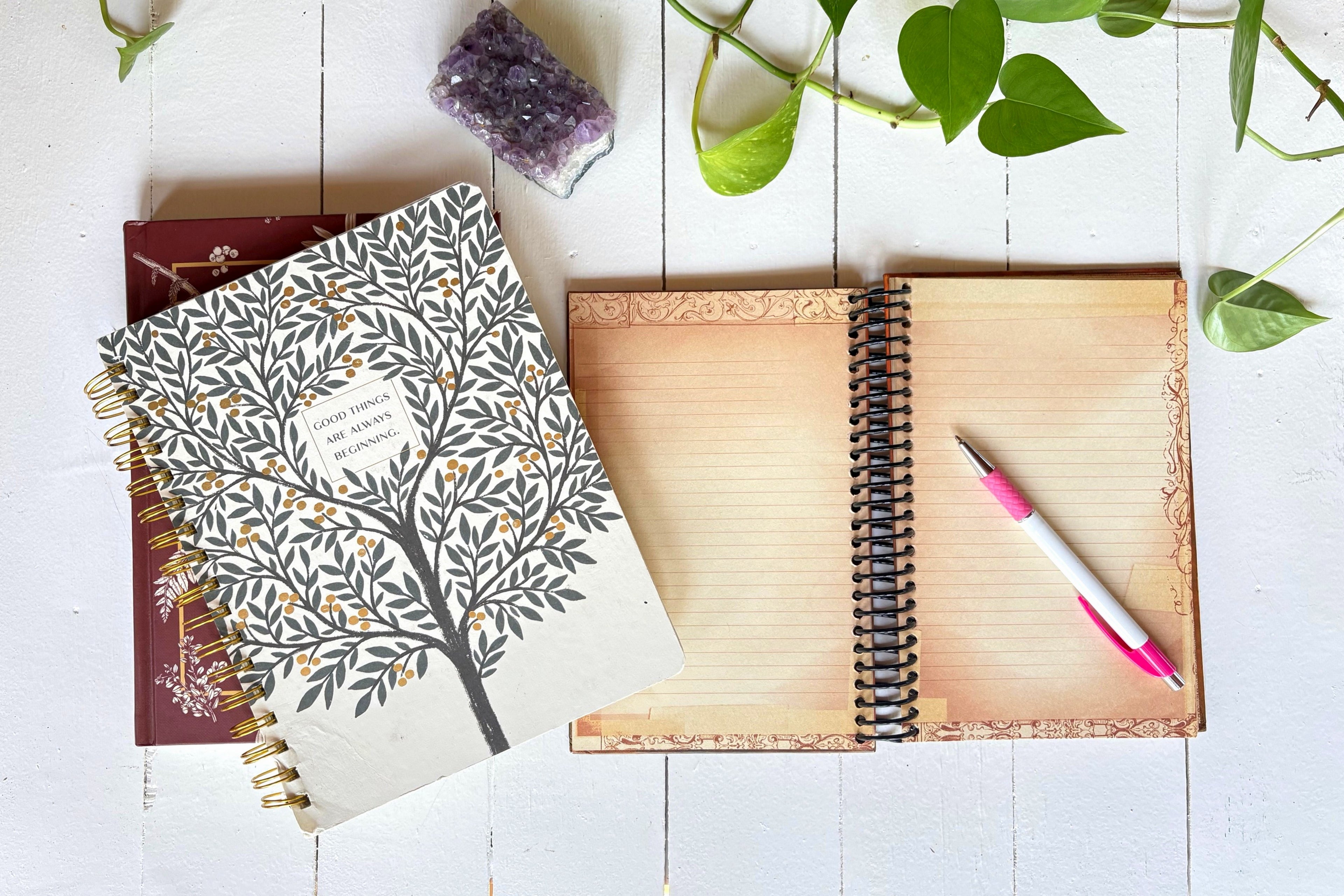 Holistic Coaching